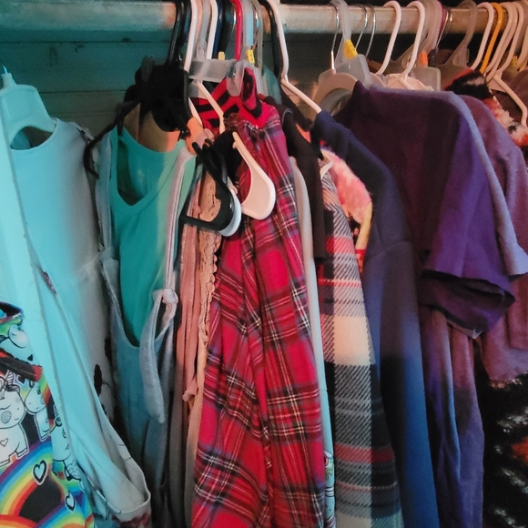 Closet Clean Out Extreme - Picture 4 of 6